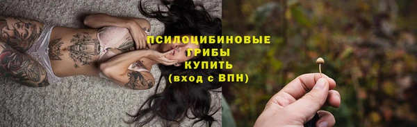 синтетический гашиш Алексин