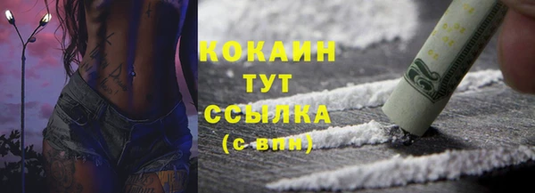 тгк Алзамай