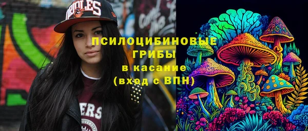 ешки Алексеевка