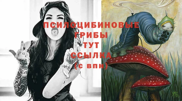 тгк Алзамай