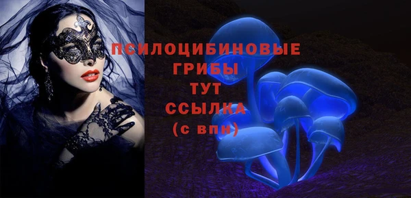 синтетический гашиш Алексин
