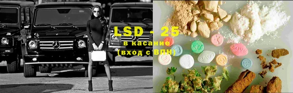 тгк Алзамай