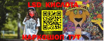 тгк Кингисепп