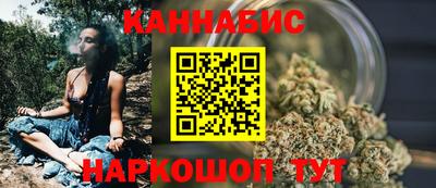 тгк Кингисепп