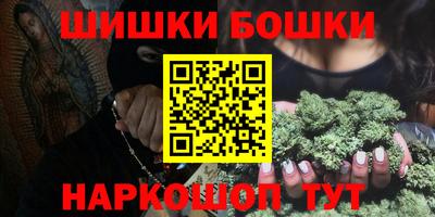 тгк Кингисепп