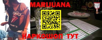тгк Кингисепп