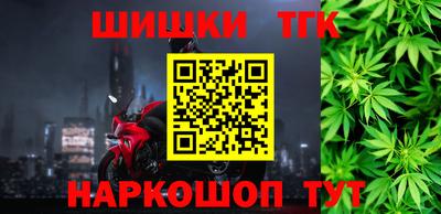 тгк Кингисепп