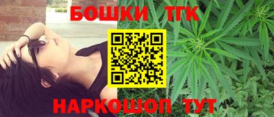 тгк Кингисепп