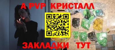 тгк Кингисепп