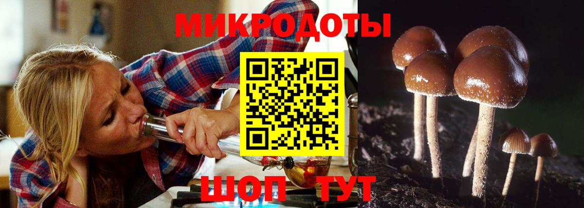 Псилоцибиновые грибы мицелий  Вход с VPN  Ленинск-Кузнецкий 
